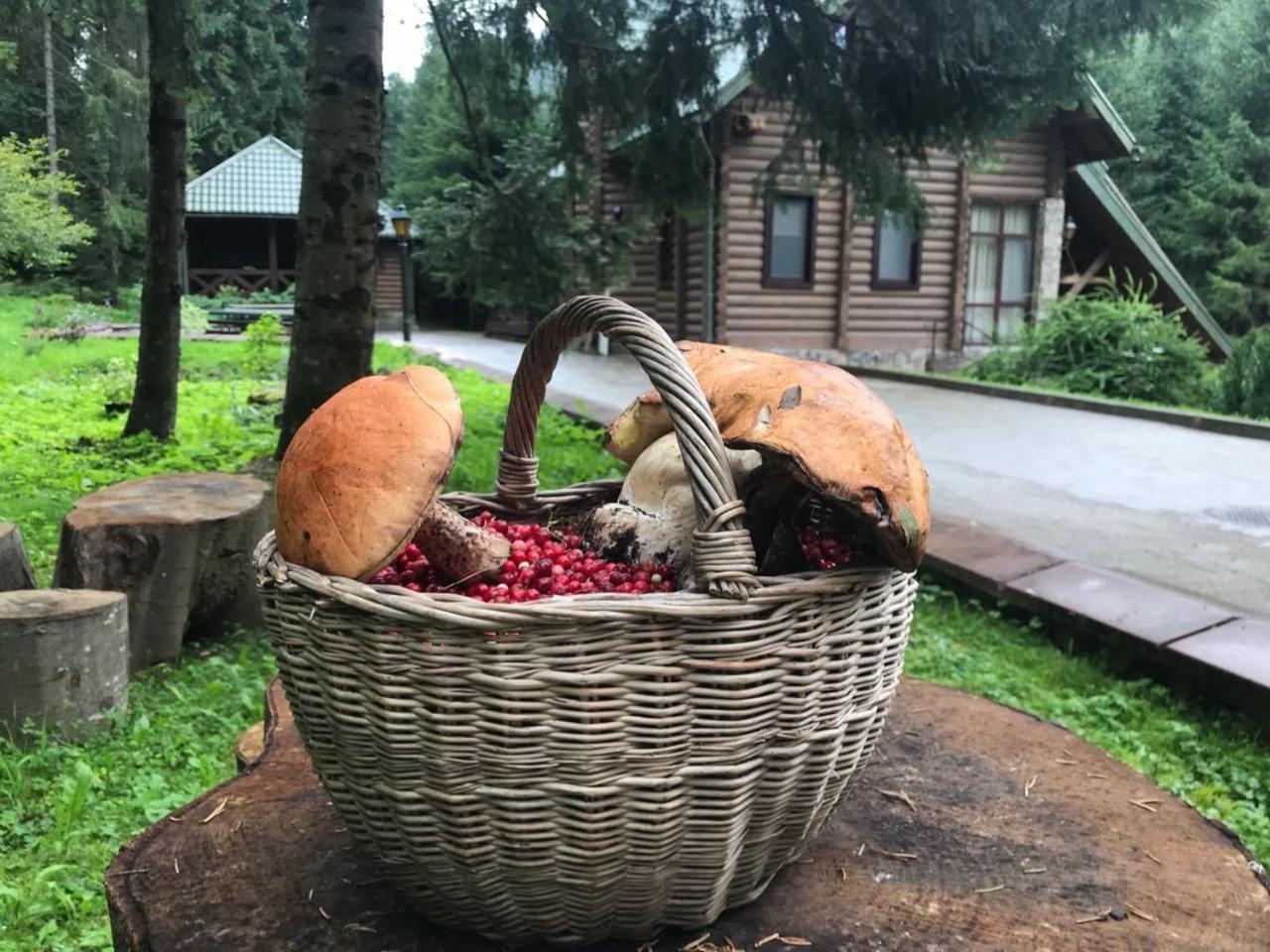 Лісовий Маєток Slawske Exterior foto